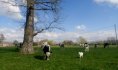 Credit photo: ferme de la Boucaulde