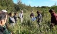 Immersion dans la Réserve naturelle régionale de la Tourbière de Vred