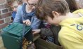 compost au jardin de Brillon