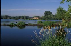 etang d'Amaury