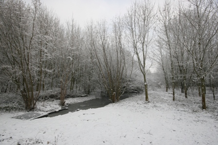 ouvrage en forêt de Marchiennes © Tangui Lefort